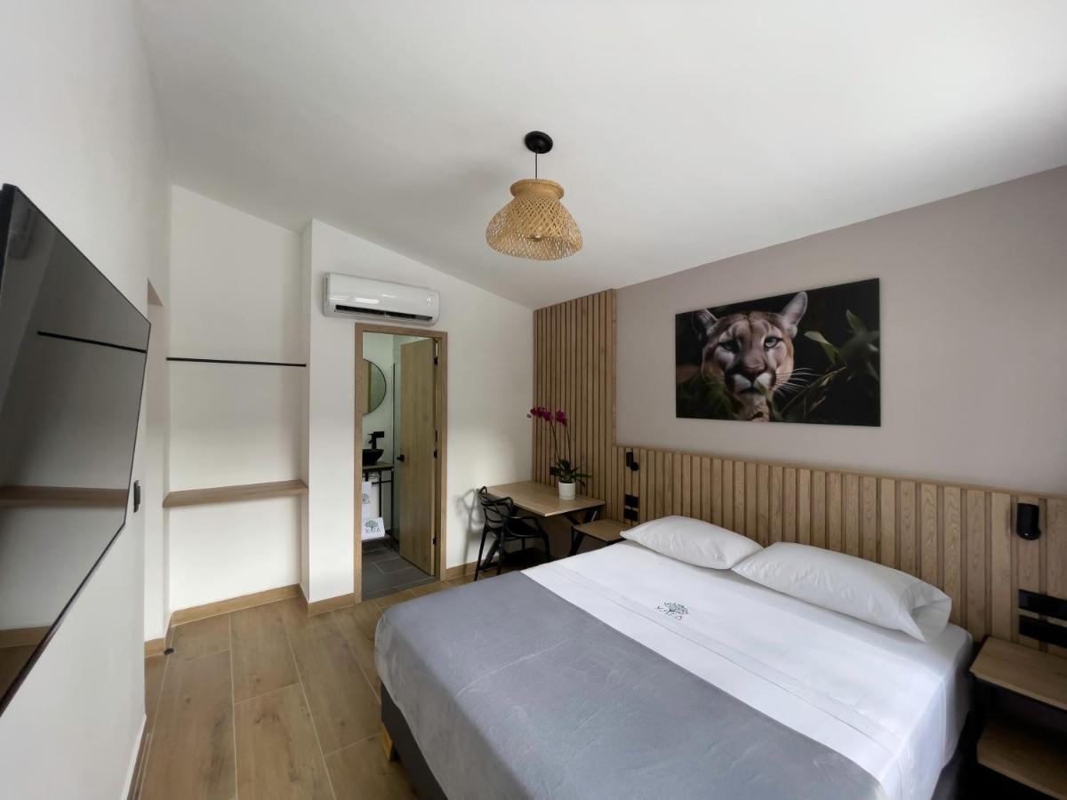 Vita Hotel Boutique Medellín Buitenkant foto